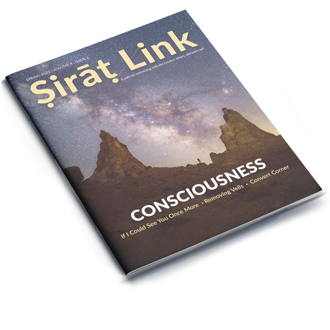 Sirat Link Spring 2023 Volume 4 | Issue 2